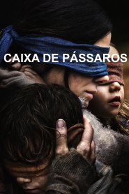 Caixa de Pássaros