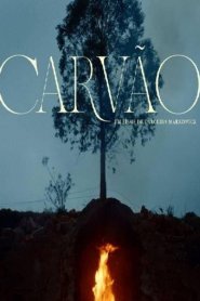 Carvão