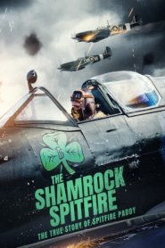 The Shamrock Spitfire