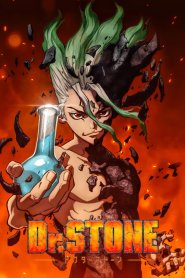 Dr. Stone