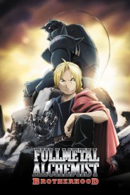 Fullmetal Alchemist: Brotherhood