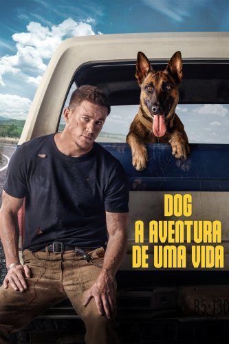 Dog: A Aventura de uma Vida