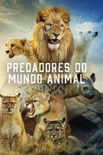 Predadores do Mundo Animal